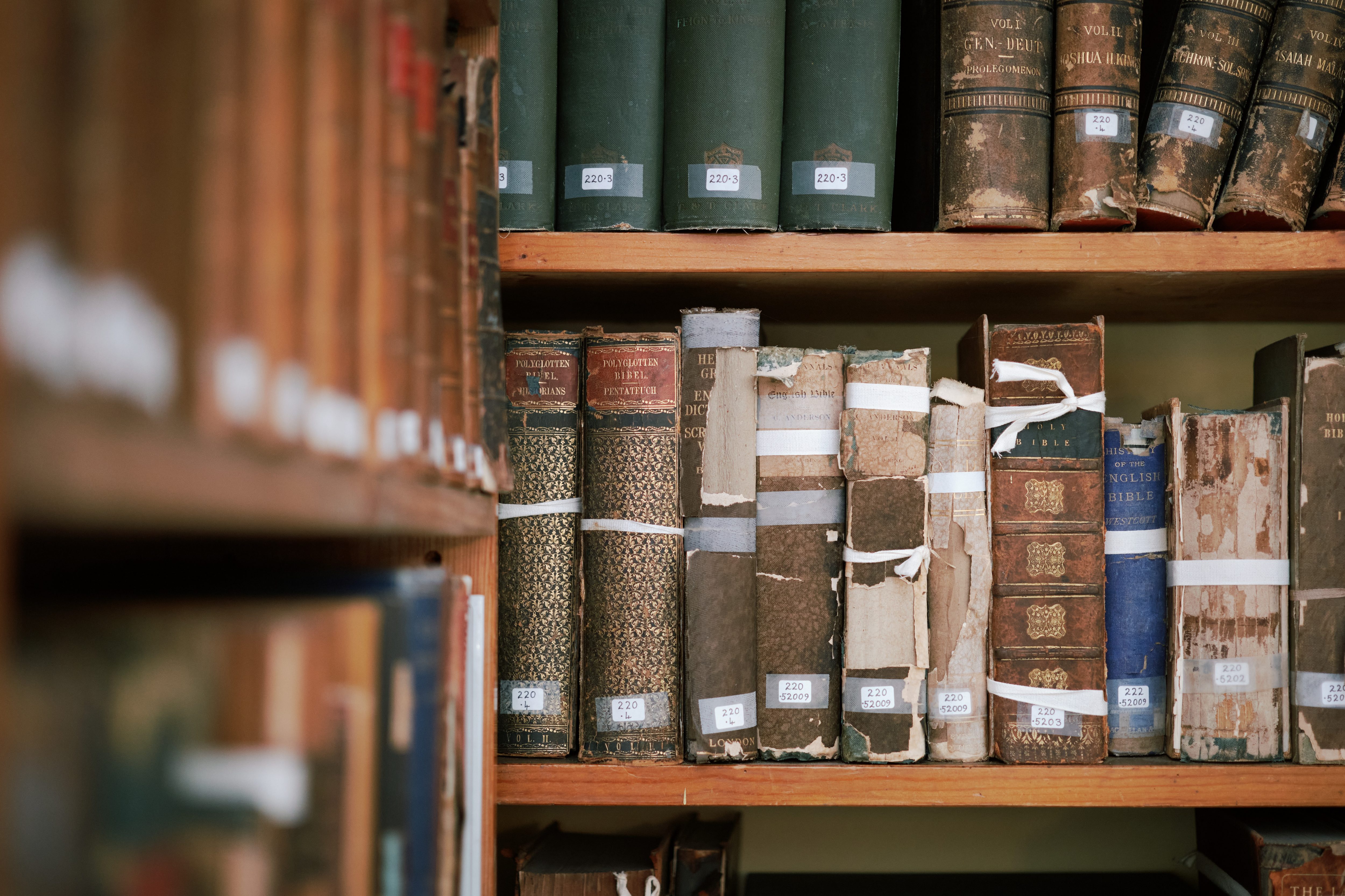 Morrab-Library-IKH26262