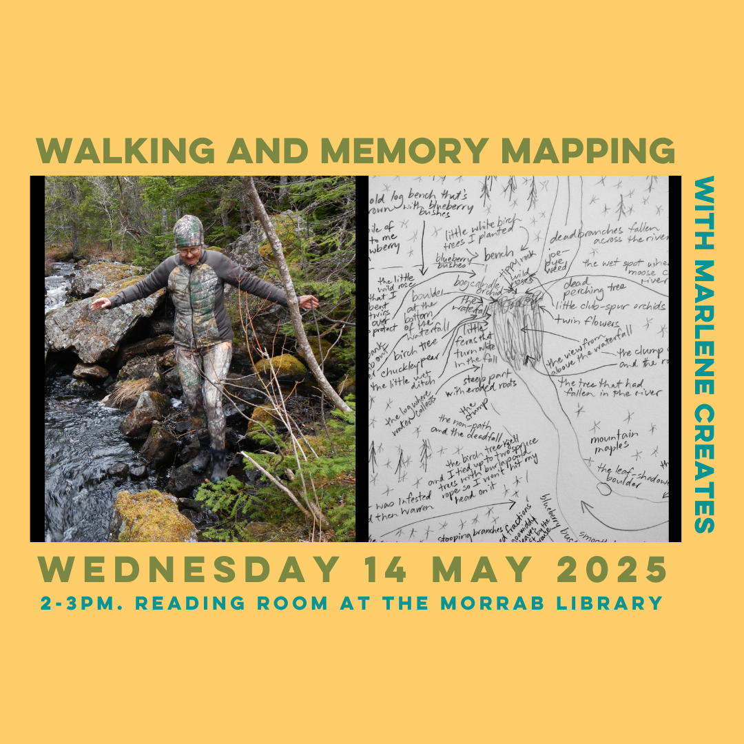 Marlene Creates talk insta